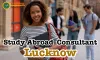Study Abroad Consultants In Lucknow