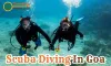 Scuba Diving In Goa