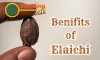 Benifits of Badi Elaichi