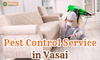 Pest Control Service in Vasai