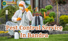 Pest Control Service Bandra