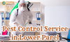 Pest Control Service in Lower Parel