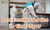 Pest Control Service In  Ghansoli