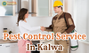 Pest Control Service In Kalwa