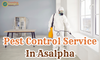 Pest Control Service In Asalpha