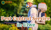 Pest Control Service in Ulwe