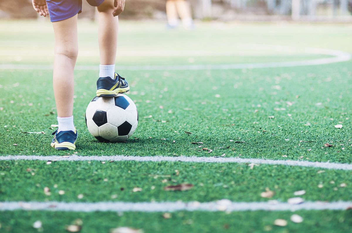 Top 10 Synthetic Grass Dealers In Mumbai