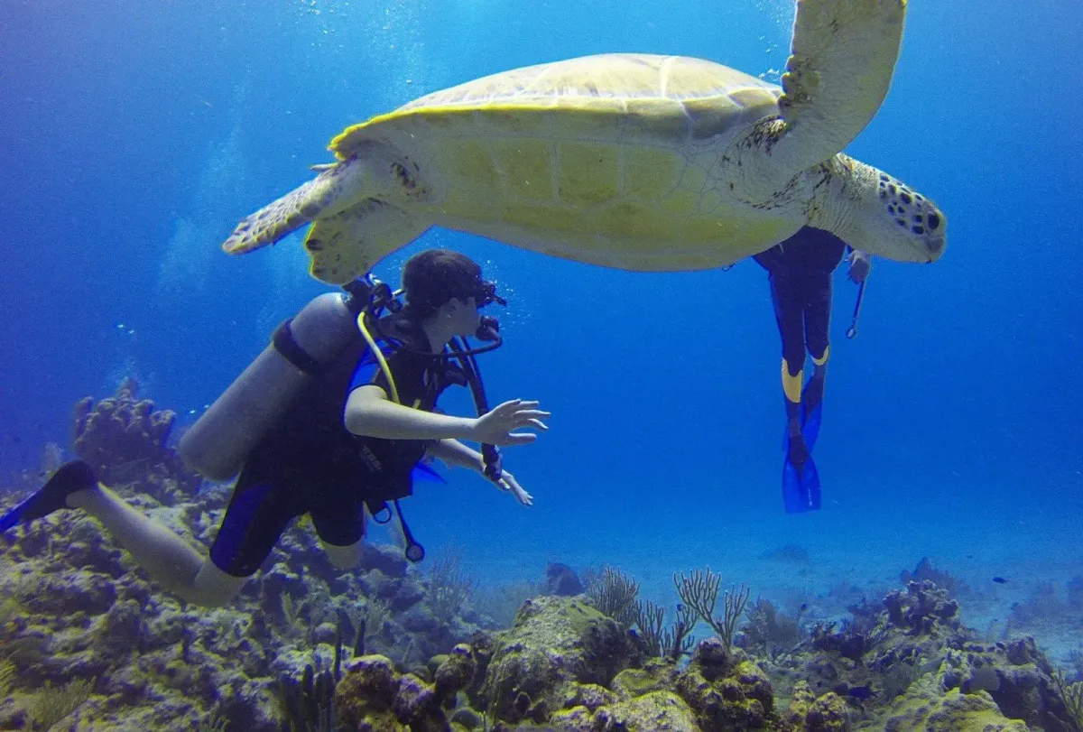 Top Scuba Diving Spots in India