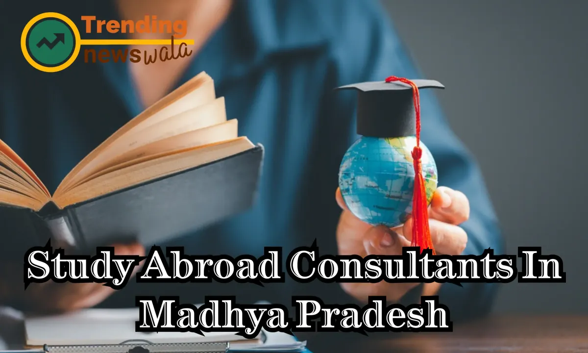 Study Abroad Consultants In Madhya Pradesh