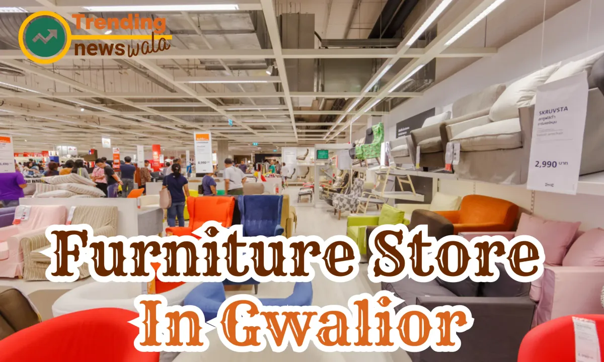 Furniture Store In Gwalior