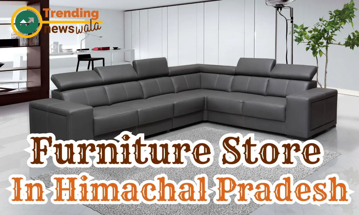 Furniture Store In Himachal Pradesh