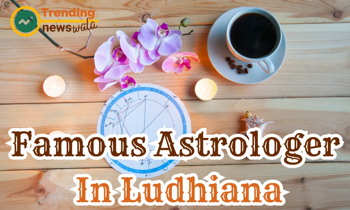 Famous Astrologer In Ludhiana