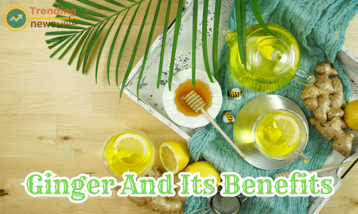Ginger And Its Benefits