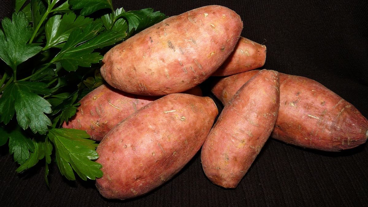 Sweet Potatoes: The Superfood You Should Be Eating Every Day