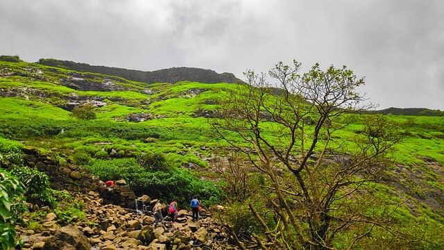 Forts in Maharashtra: Best places for Trekking