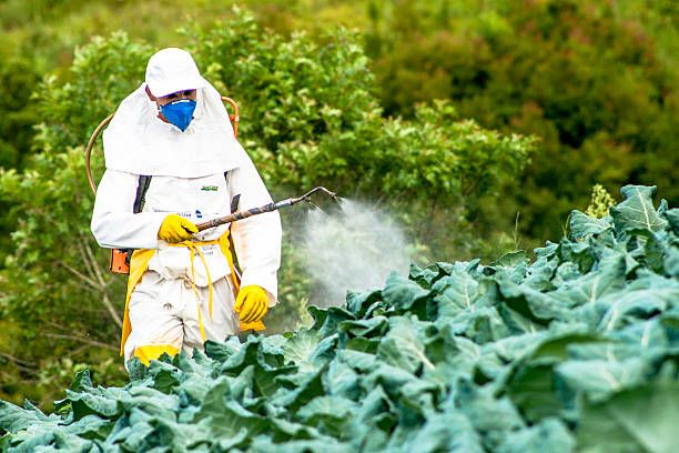 Keep Pests Out Of Your Life: A Guide to Effective Pest Control