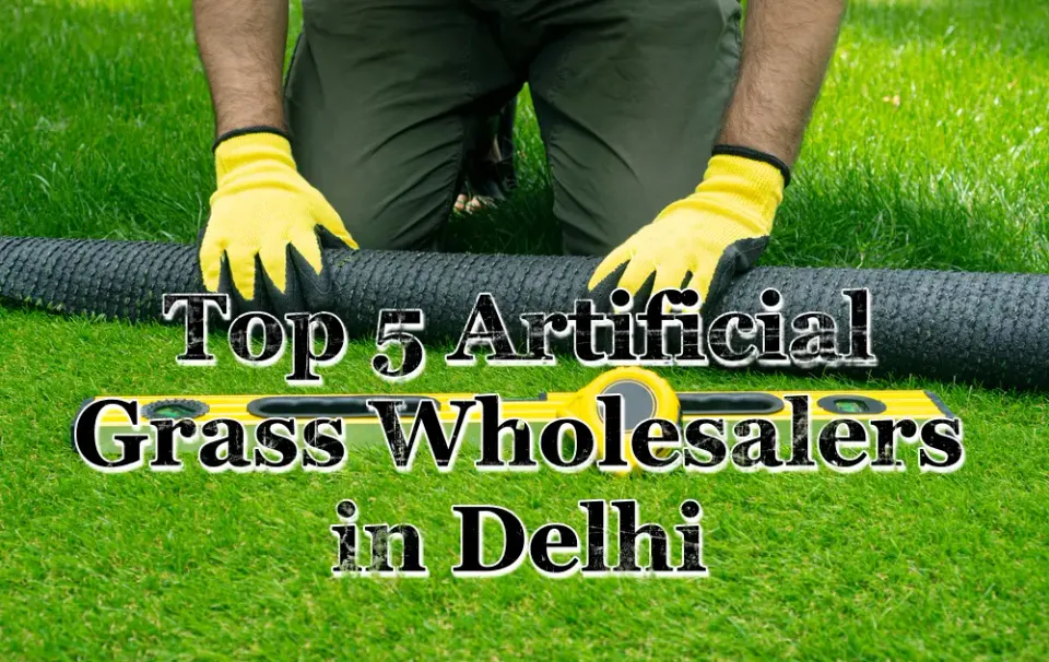 Top 5 Artificial Grass Wholesalers in Delhi