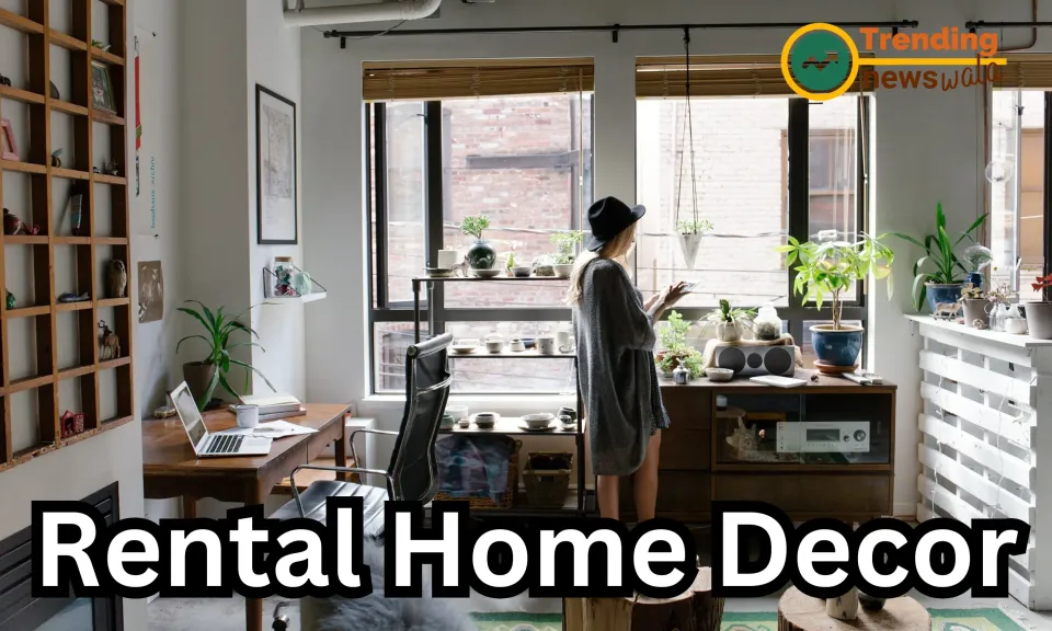 Top 10 tips to make your rental flat feel like home
