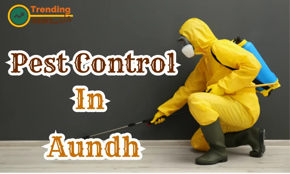 Pest Control Service In Aundh, Pune