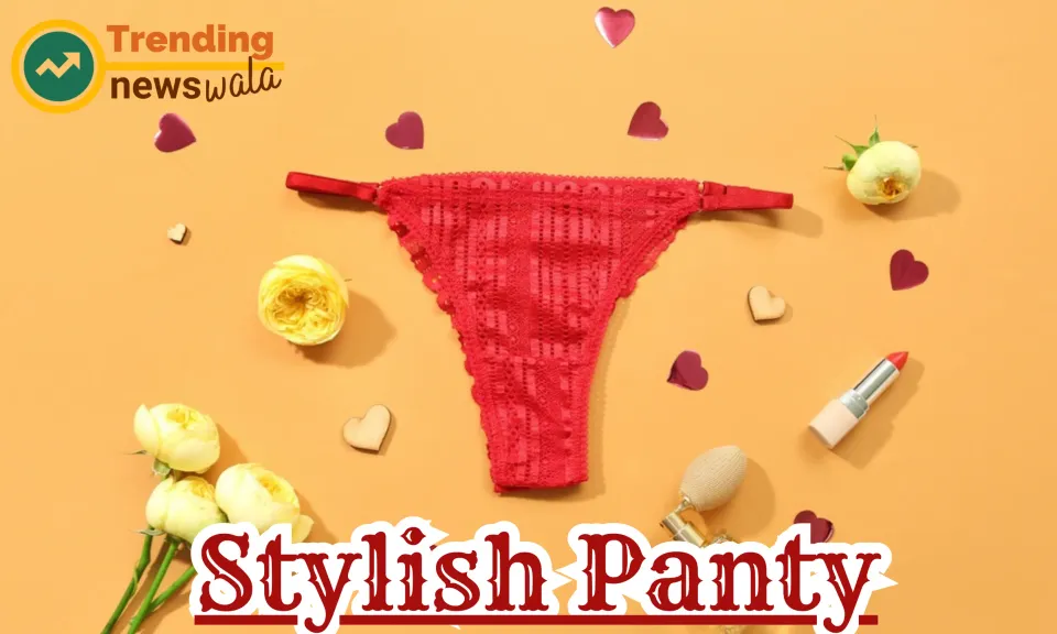 Stylish Panty in 2024
