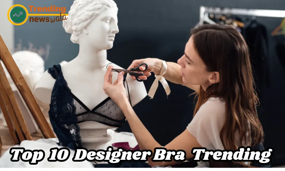 Designer Bra in 2024