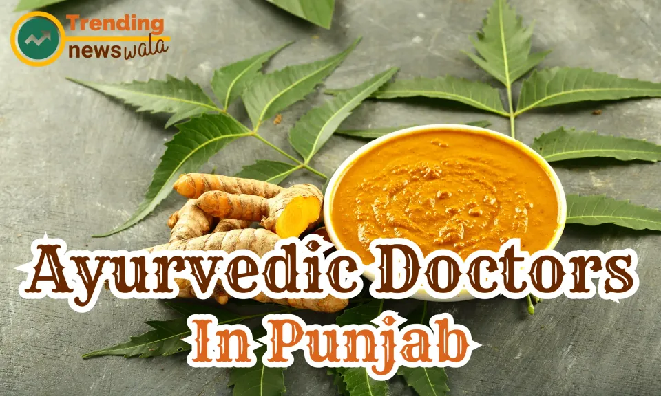 Ayurvedic Doctors in Punjab