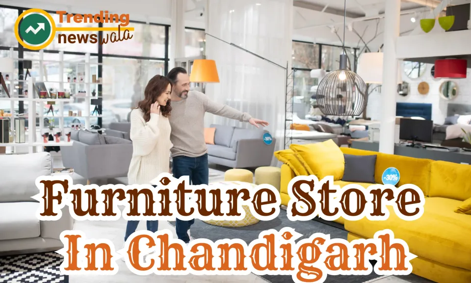 Furniture Store In Chandigarh