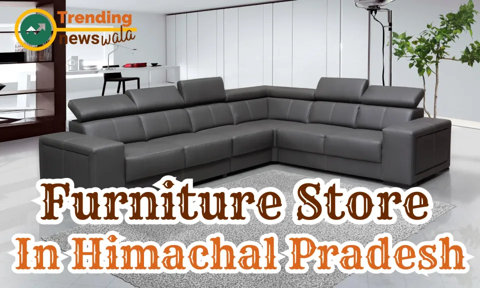 Furniture Store In Himachal Pradesh