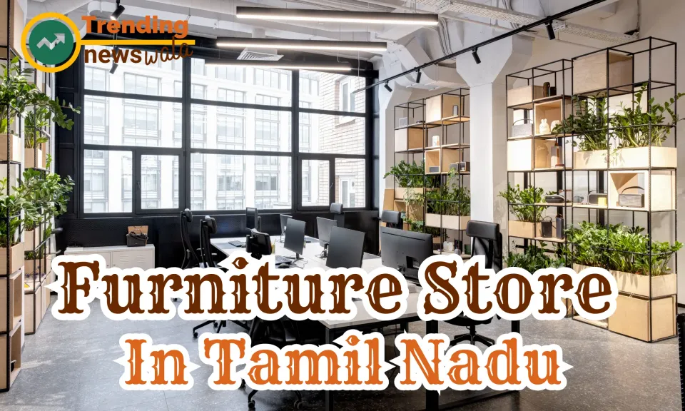 Furniture Store In Tamil Nadu