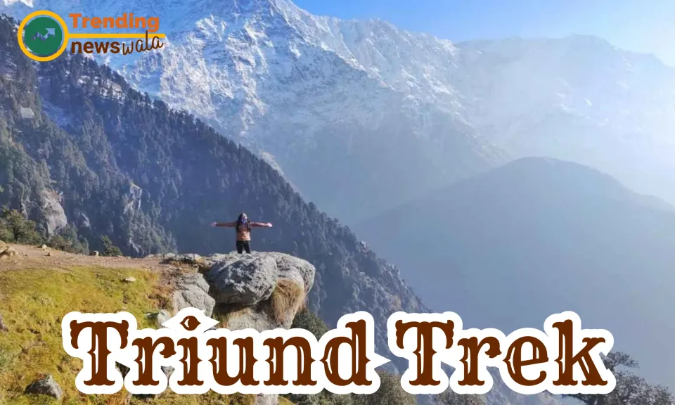 Triund Trek: Eyewitness the Majestic Panorama of the Kangra Valley