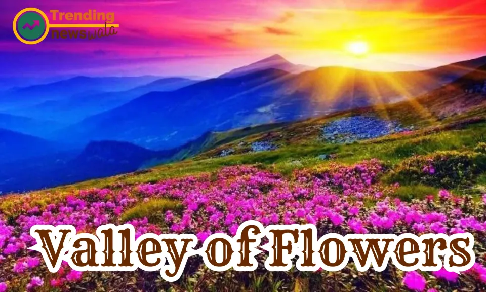 Touring Through the Blooms passing Uttarakhand's Flower Trek