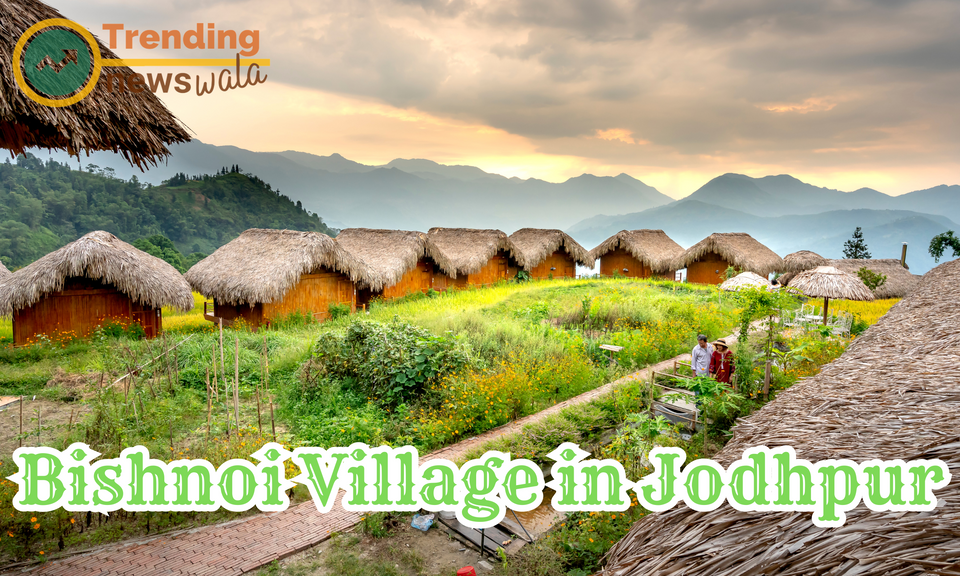 Bishnoi Village in Jodhpur – Preserving Nature at Own Terms