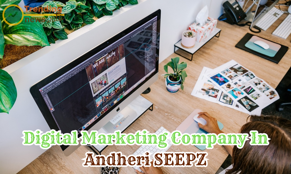 Digital Marketing Company In Andheri SEEPZ