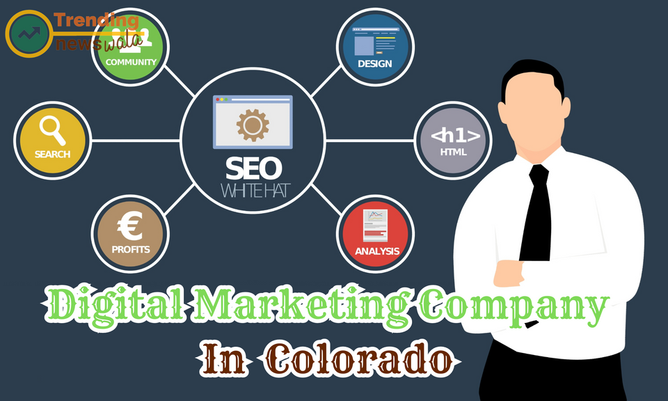 Digital Marketing Company In Colorado