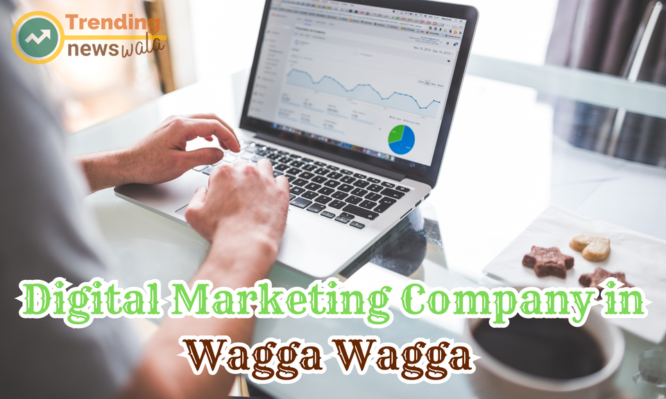 Digital Marketing Company in Wagga Wagga