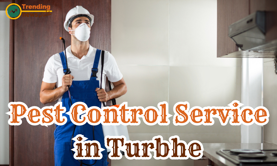 Pest Control Service in Turbhe