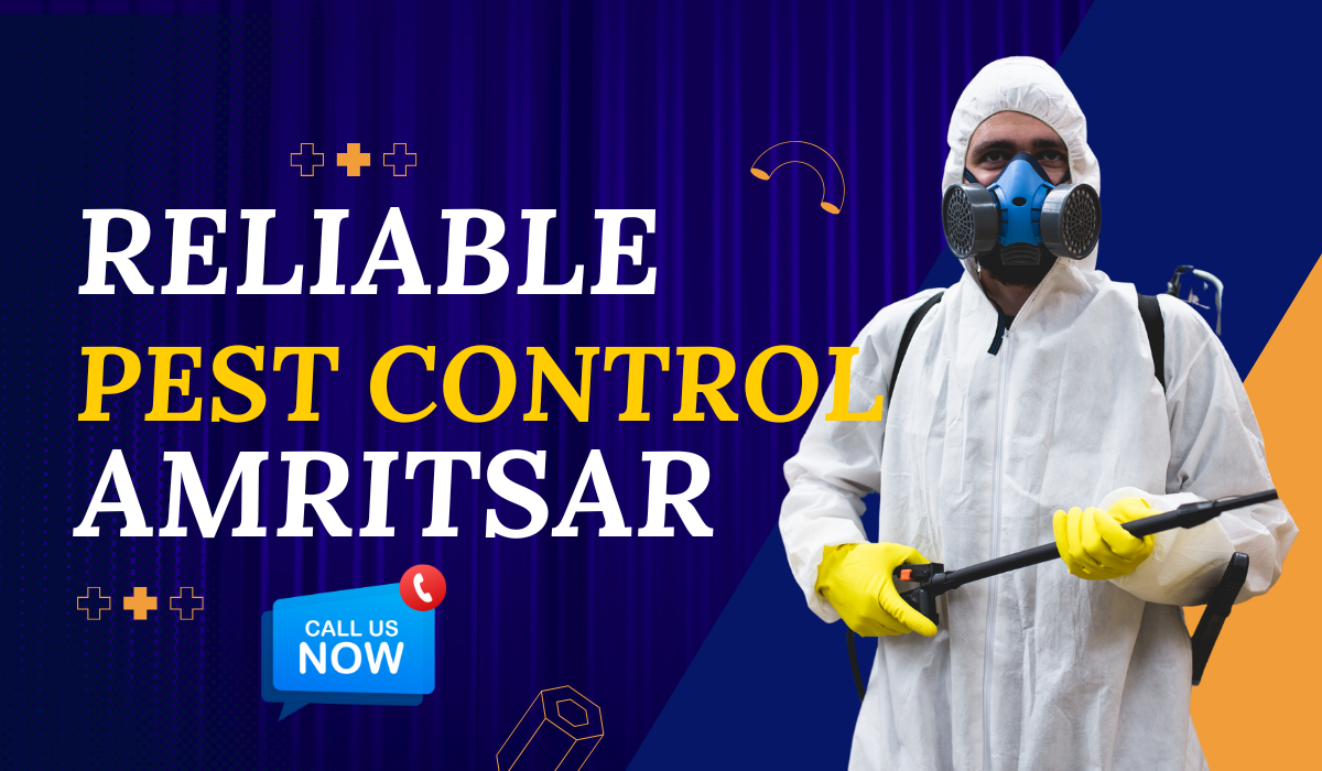 Pest Control Services in Amritsar