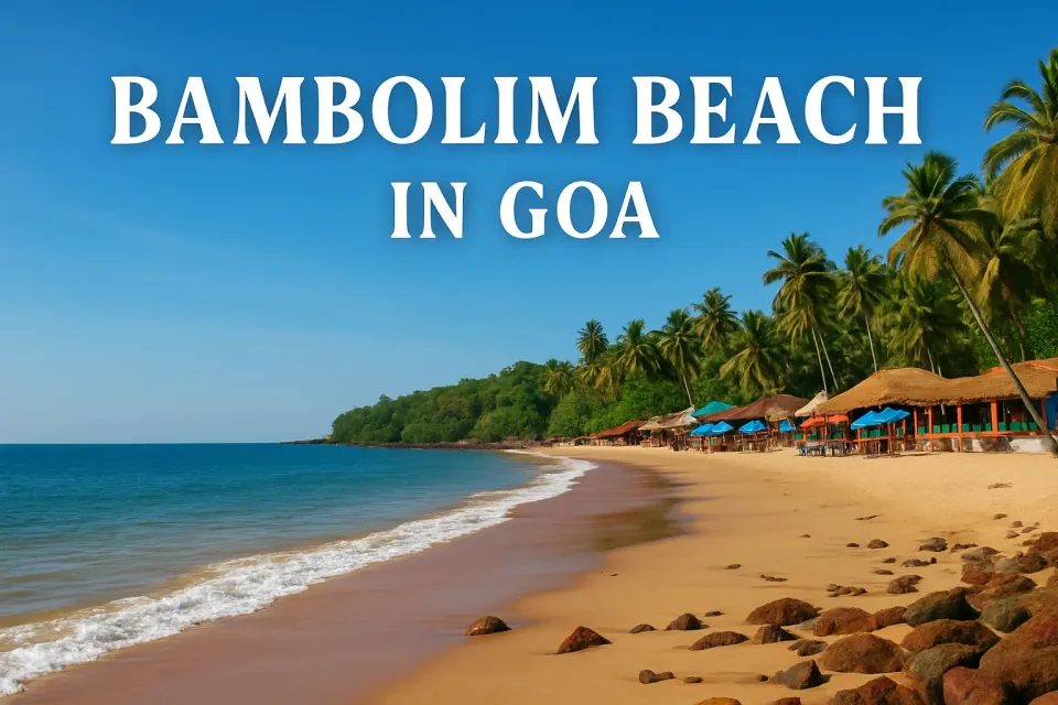 🌴 Bambolim Beach in Goa: Your Ultimate Guide to a Tranquil Coastal Retreat