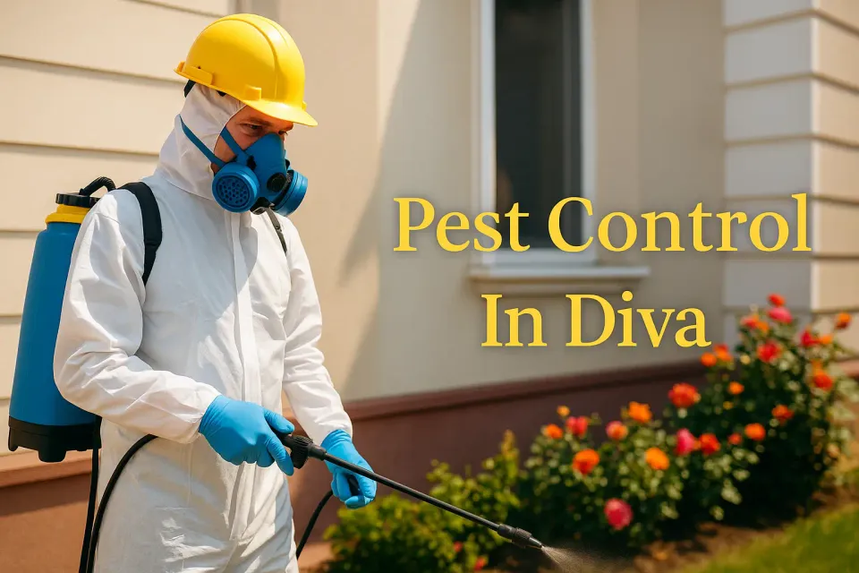 Pest Control in Diva: Your Ultimate Guide to a Pest-Free Home 🐜