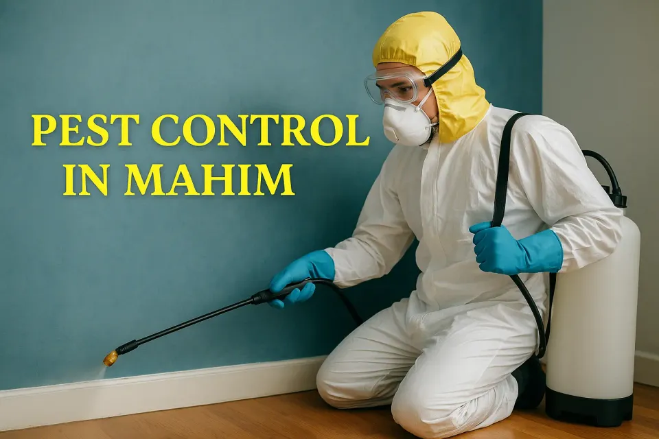 Ultimate Guide to Effective Pest Control in Mahim: Protect Your Coastal Home 🏡