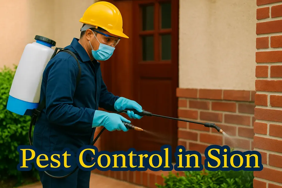 Pest Control in Sion: Your Ultimate Guide to a Pest-Free Environment 🐜