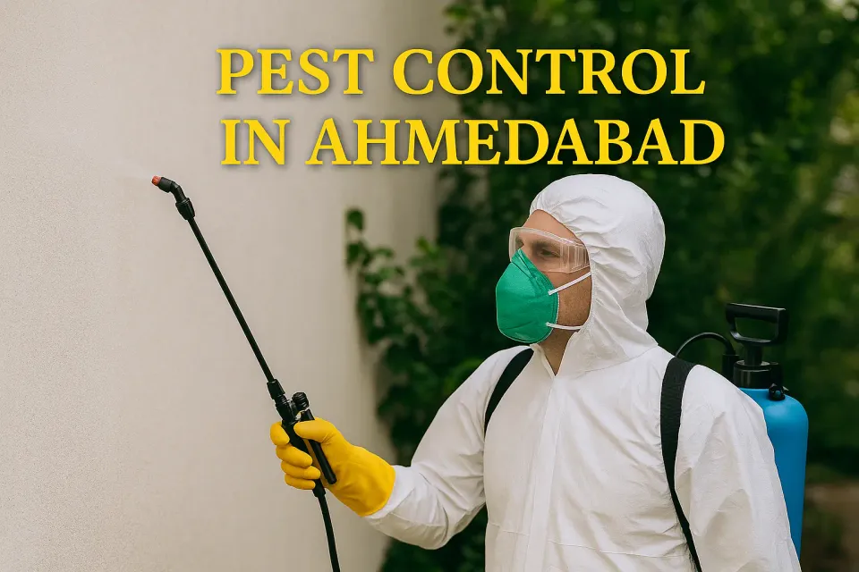 Comprehensive Guide to Effective Pest Control in Ahmedabad: Protect Your Home 🏡