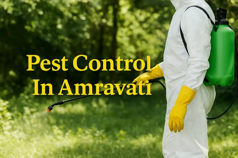 Comprehensive Guide to Effective Pest Control in Amravati: Safeguard Your Home 🏡