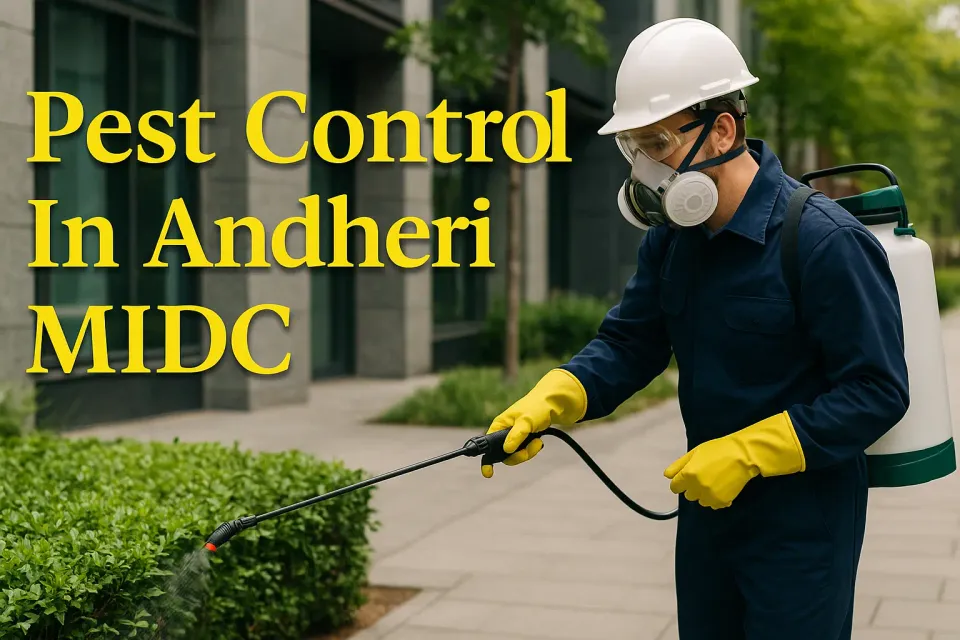 Pest Control in Andheri MIDC: Your Ultimate Guide to a Pest-Free Environment 🐜