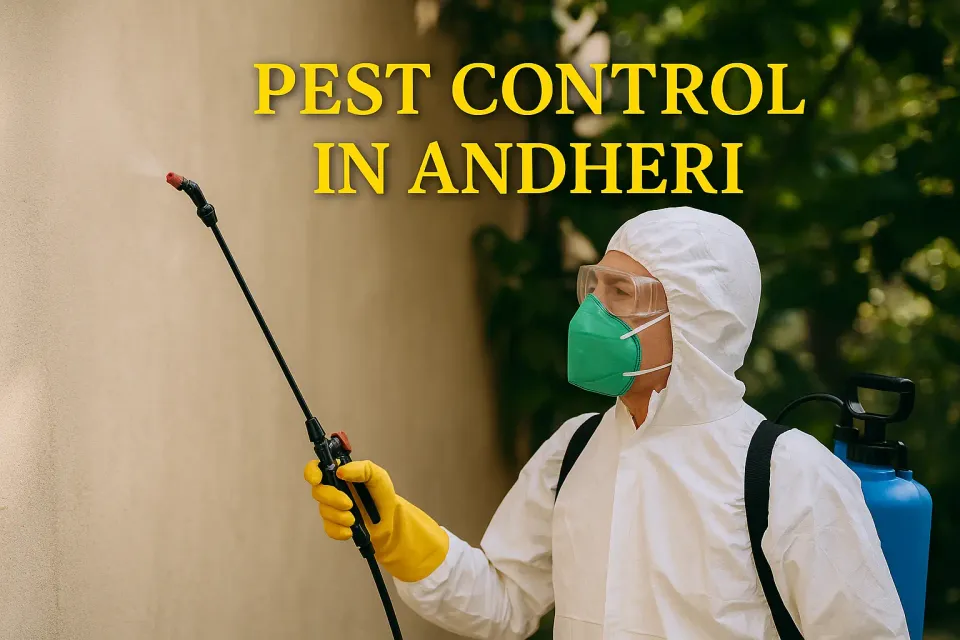 Ultimate Guide to Effective Pest Control in Andheri: Safeguard Your Home 🏡