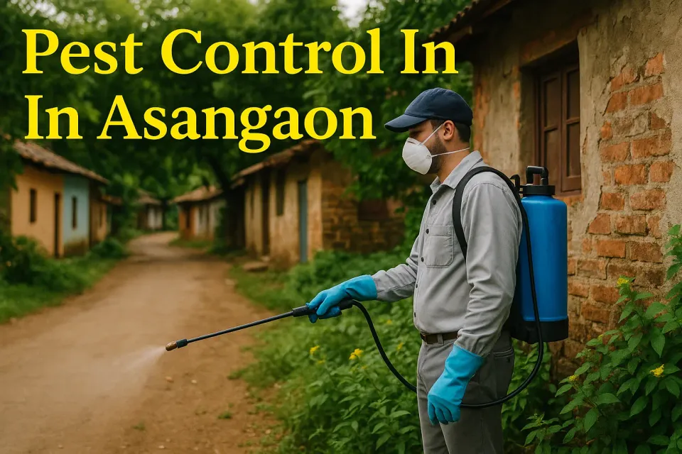 Pest Control in Asangaon: Your Ultimate Guide to a Pest-Free Home 🏡