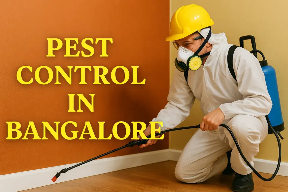 Ultimate Guide to Effective Pest Control in Bangalore: Safeguard Your Home 🏡