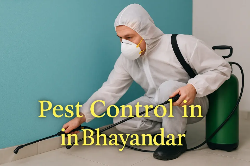 Pest Control in Bhayandar: Your Ultimate Guide to a Pest-Free Home 🏠