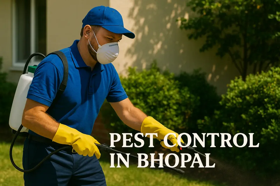 Comprehensive Guide to Effective Pest Control in Bhopal: Protect Your Home 🏡