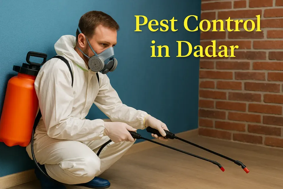 Pest Control in Dadar: Your Complete Guide to a Pest-Free Home ๐ก